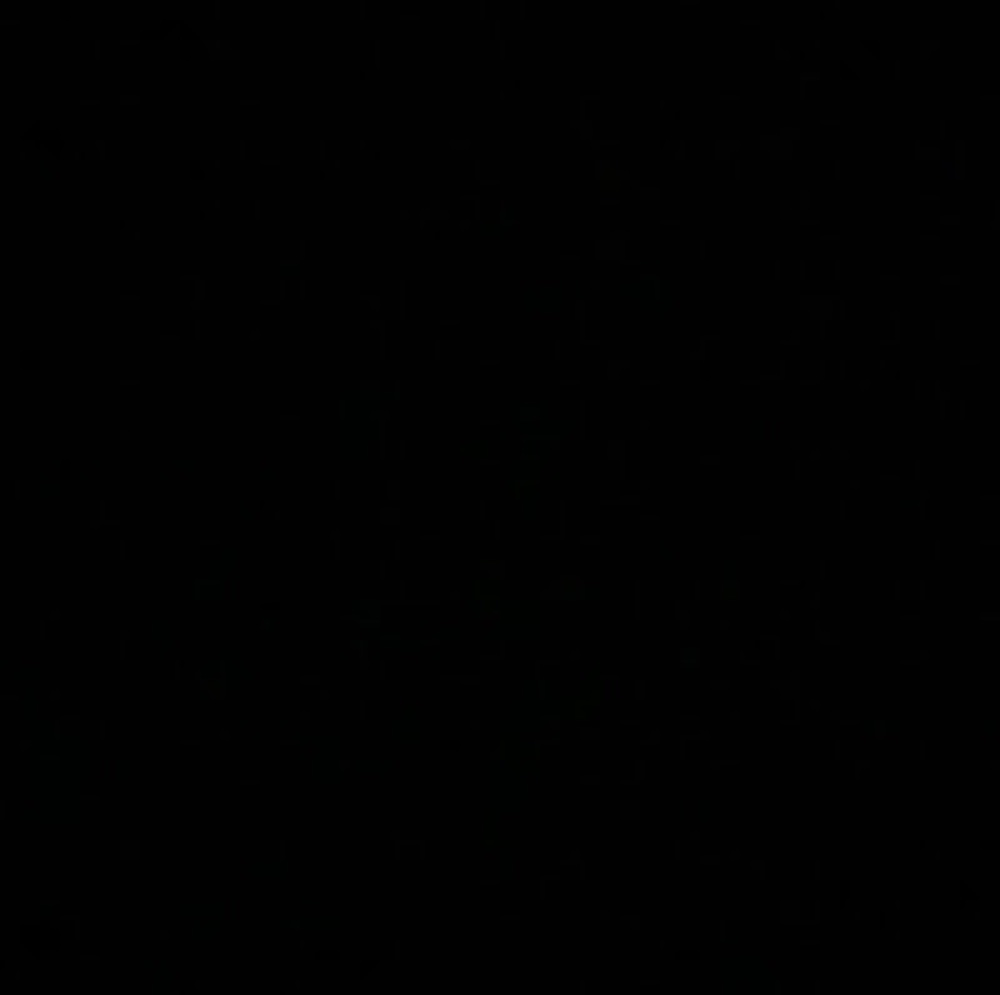 Meet your Posher, Delfin